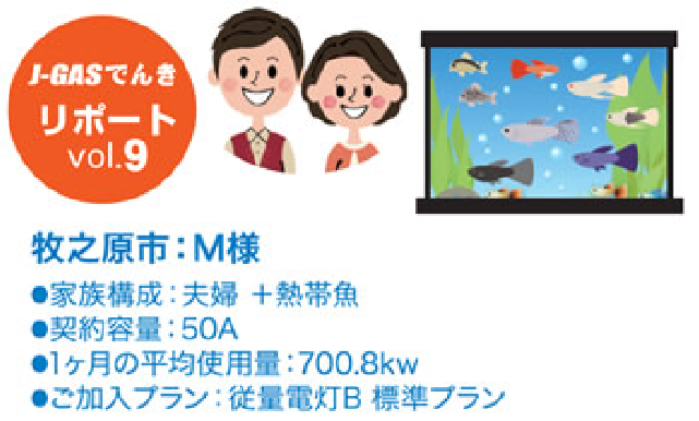 JGASでんきリポート