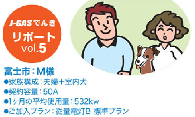 JGASでんきリポート