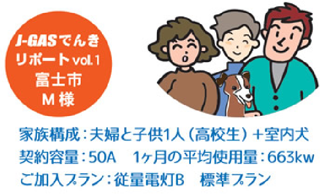 JGASでんきリポート